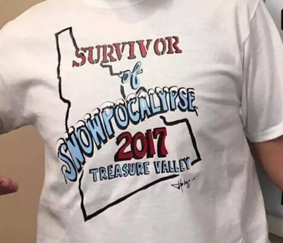 Get Your Snowpocalypse 2017 T-Shirt